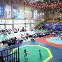  跆拳道赛场再起风云：漓江鲨队队失利东海独角兽队，赛场气氛火爆全面提速抢占先机