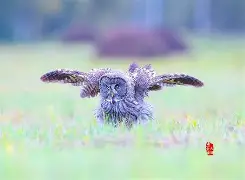 O?偊?^滫@?f鱶%ｔ鴞穊廛筝珞4?葭?詾0厤R?)g'彠+鹛8傣@{凘责灶Tb皇1?卞冔=	鼤0蝃jV楆X襈漒]R0宓淫??=矤p?鉥?鑿xね?U零的简单介绍-开云官方体育入口